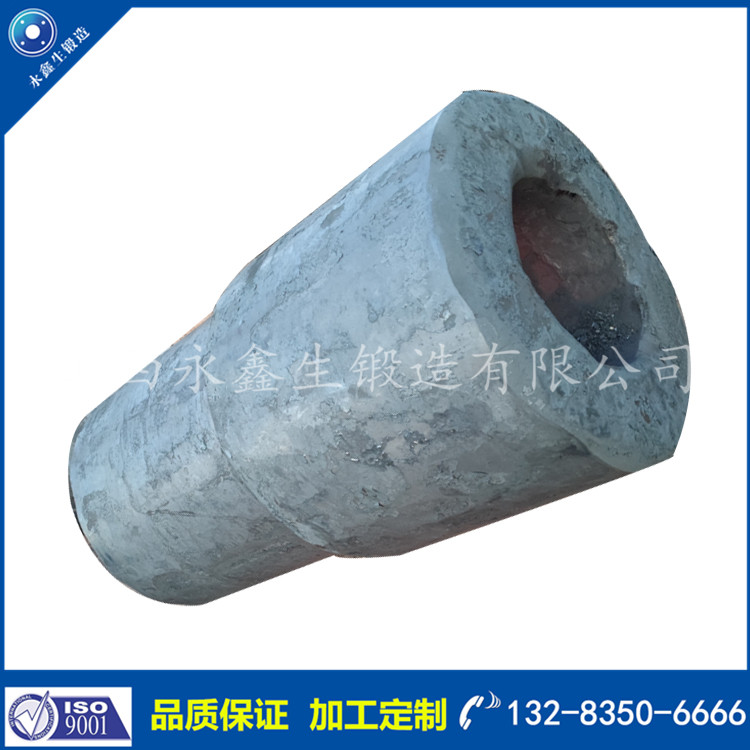 鍛造反應(yīng)器本體鍛件f.jpg
